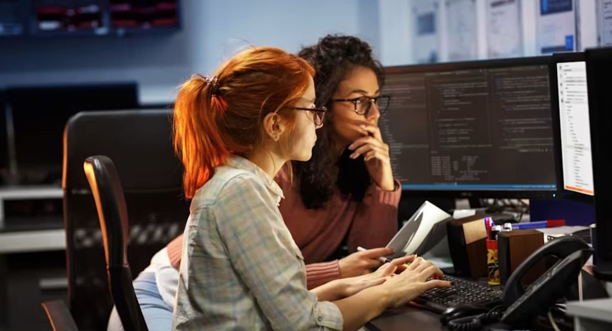 What Is a software developer